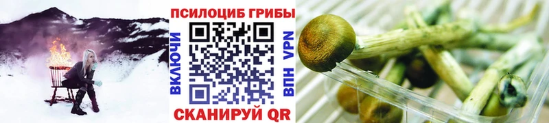 Галлюциногенные грибы Cubensis  Кондрово 